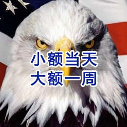 新和要账公司